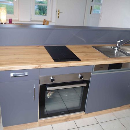 Ferien-Wohnung Am Menzer-Park Neckargemund Bagian luar foto