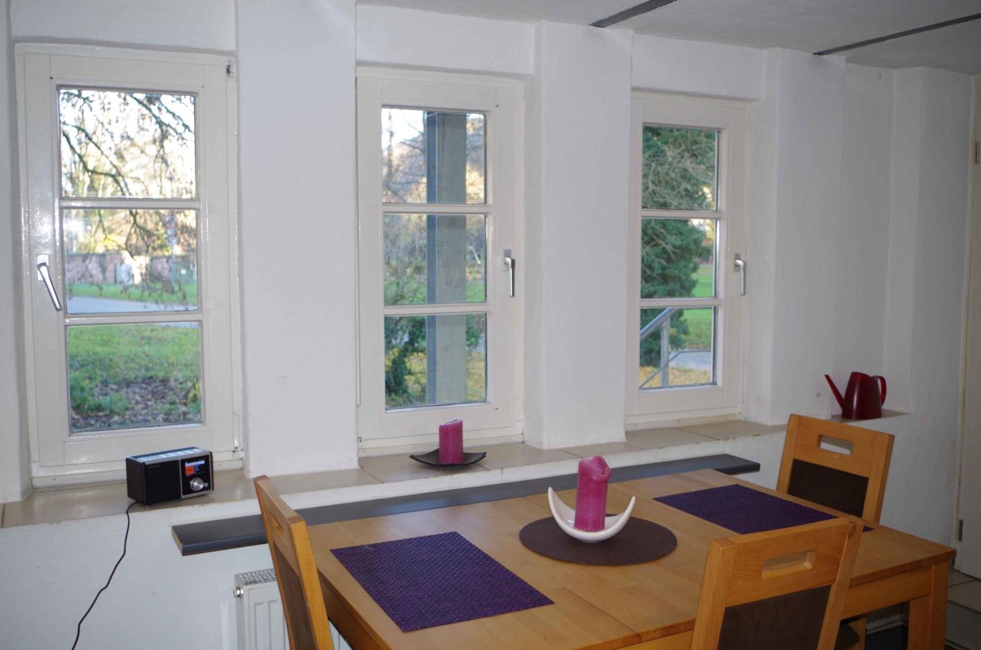 Ferien-Wohnung Am Menzer-Park Neckargemund Bagian luar foto